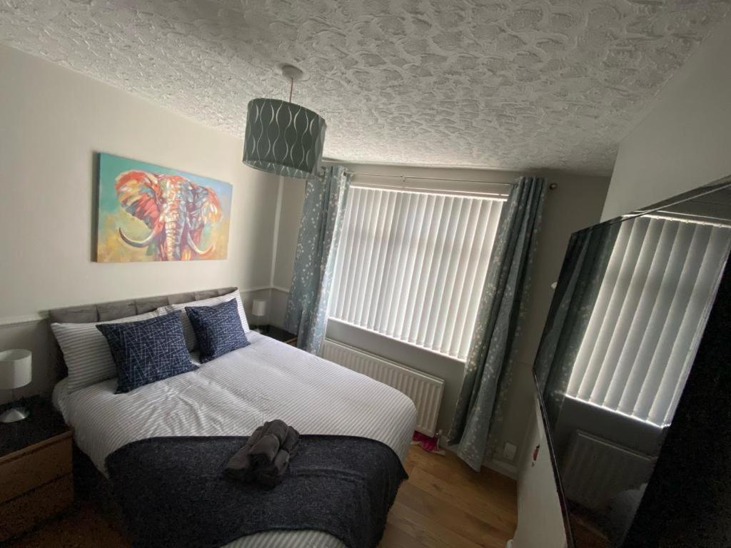 Appartement Connswater Town House Belfast Extérieur photo